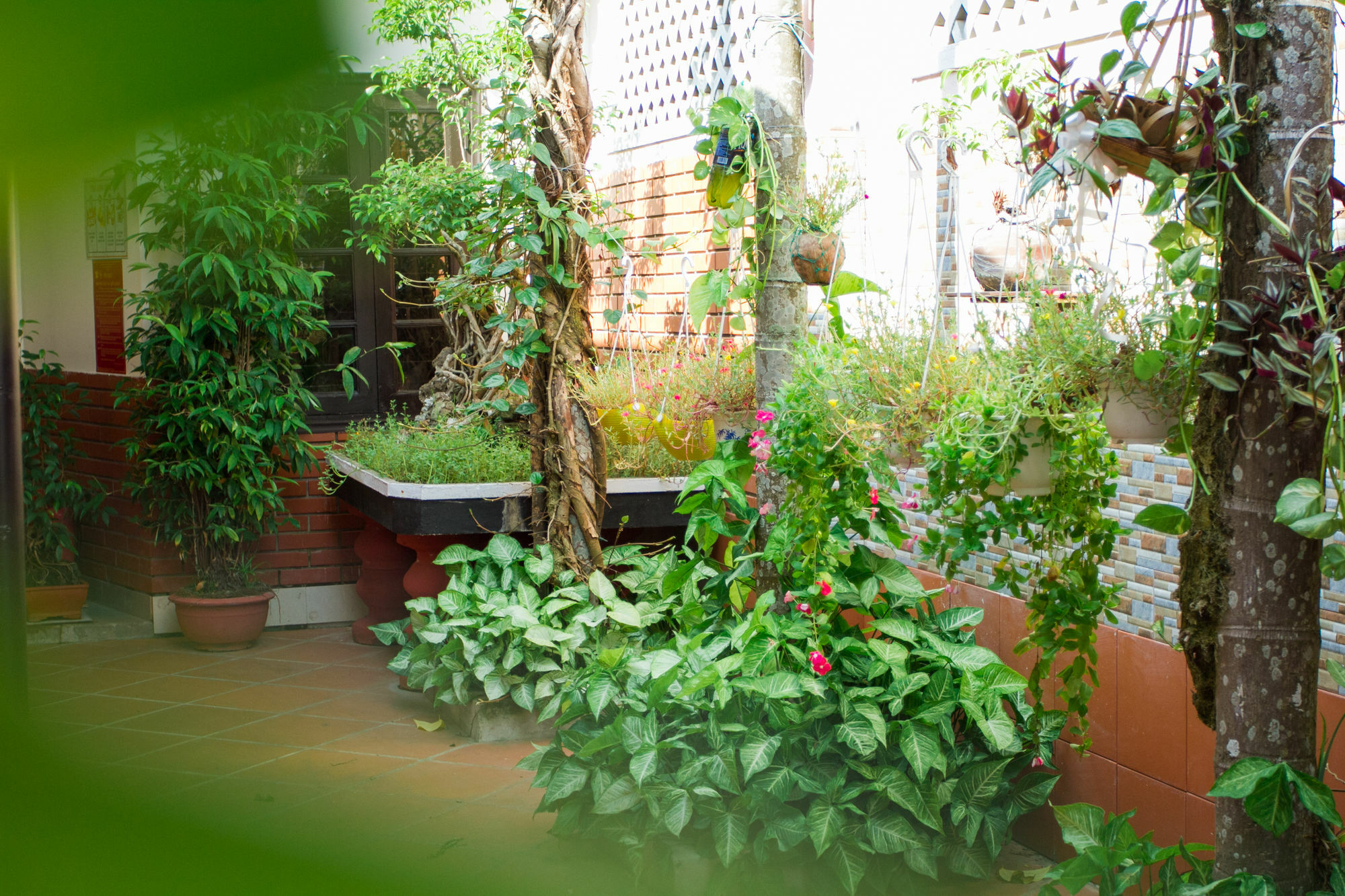 Red Ceramics Homestay Hoi An Exterior photo