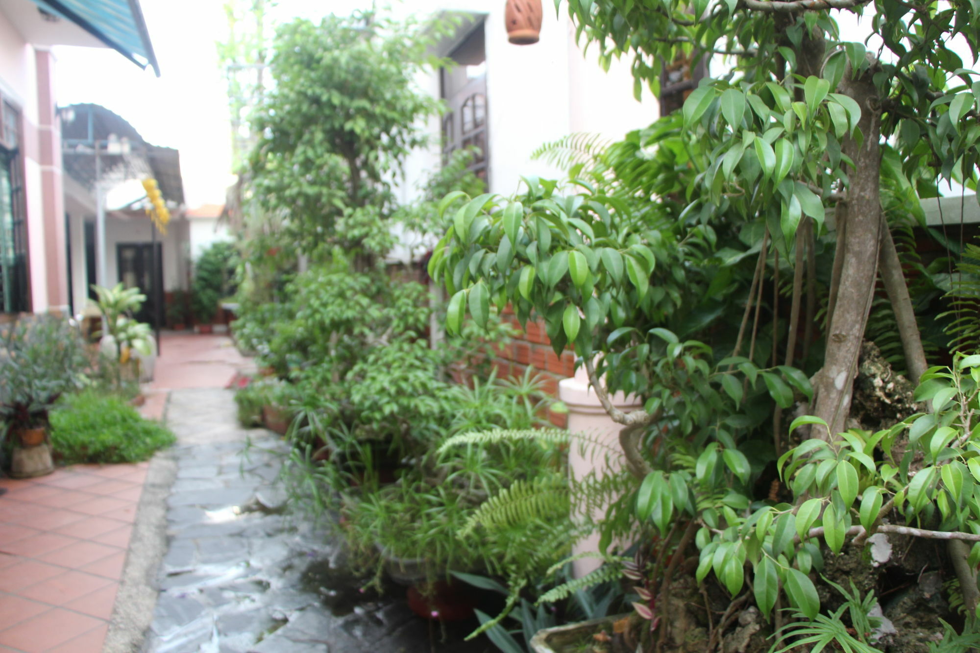 Red Ceramics Homestay Hoi An Exterior photo